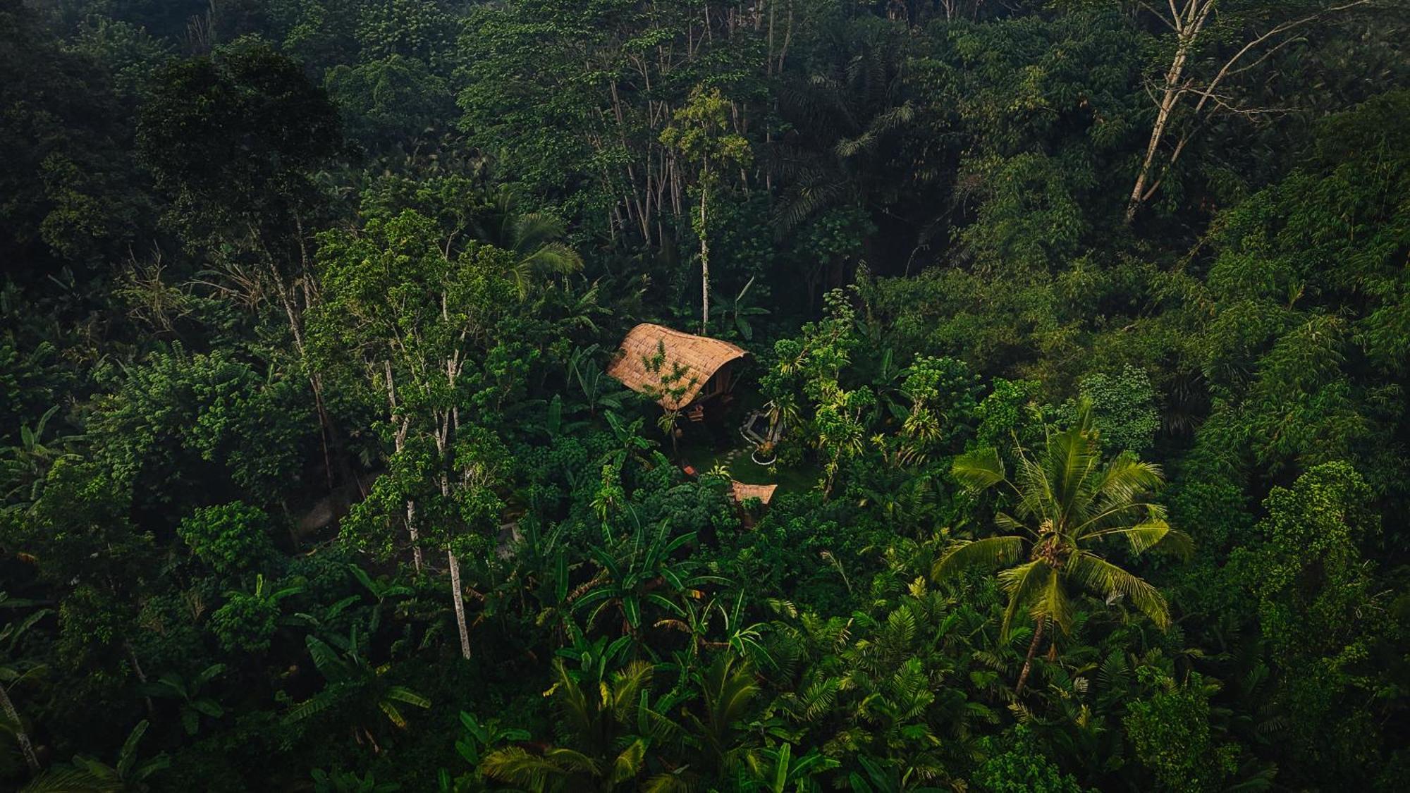 시데멘 Arcada Bali Bamboo House 빌라 외부 사진