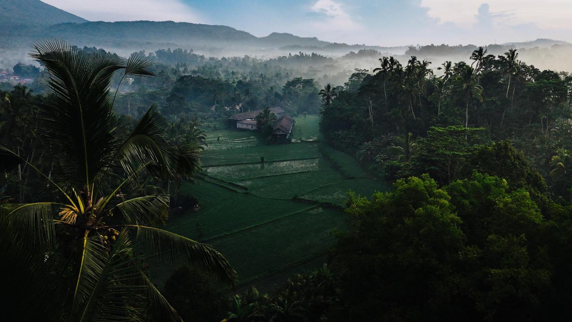 시데멘 Arcada Bali Bamboo House 빌라 외부 사진