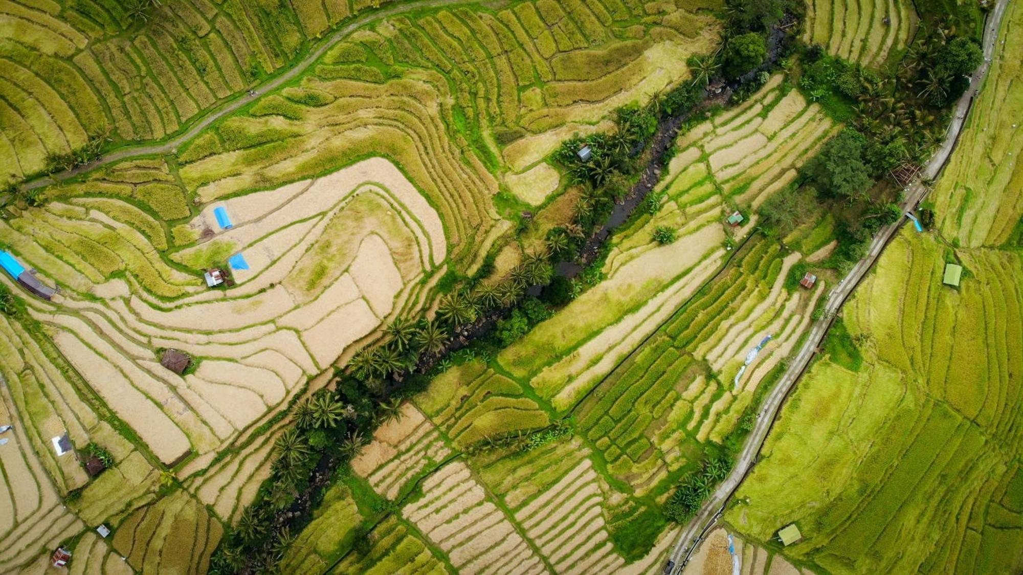 시데멘 Arcada Bali Bamboo House 빌라 외부 사진